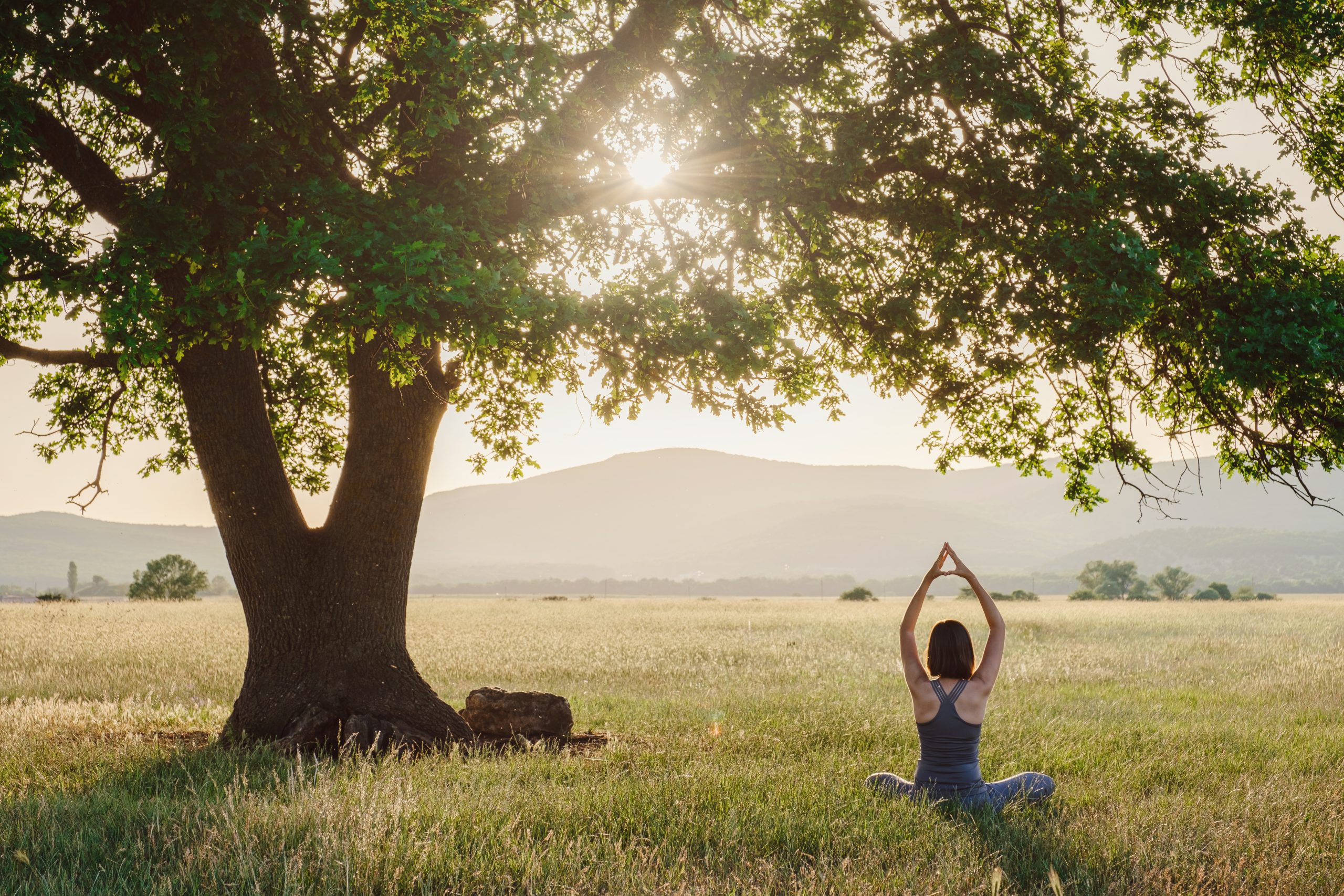 faq weston psychology & wellness center zen
