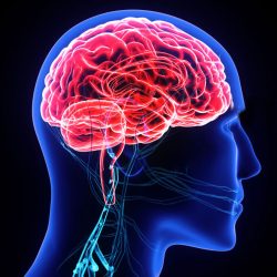 neurofeedback weston psychology & Wellness Center